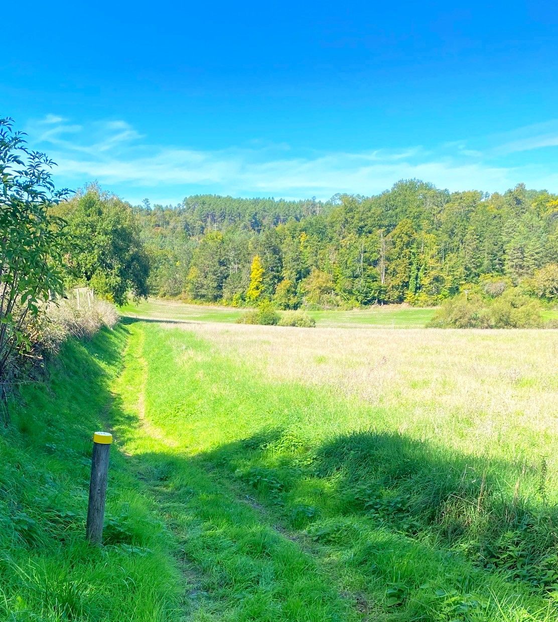 BIRAS-Boucle de Biras-Chemin-Poteau 2