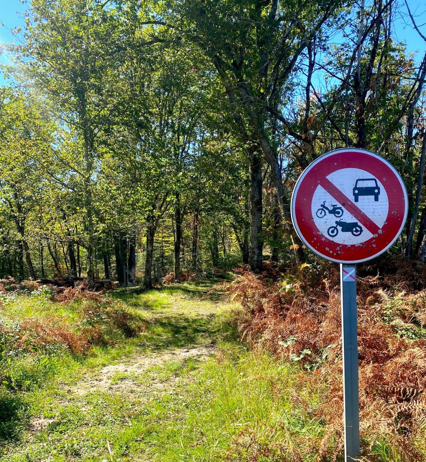 BUSSAC-Boucle de Bussac-Chemin 2