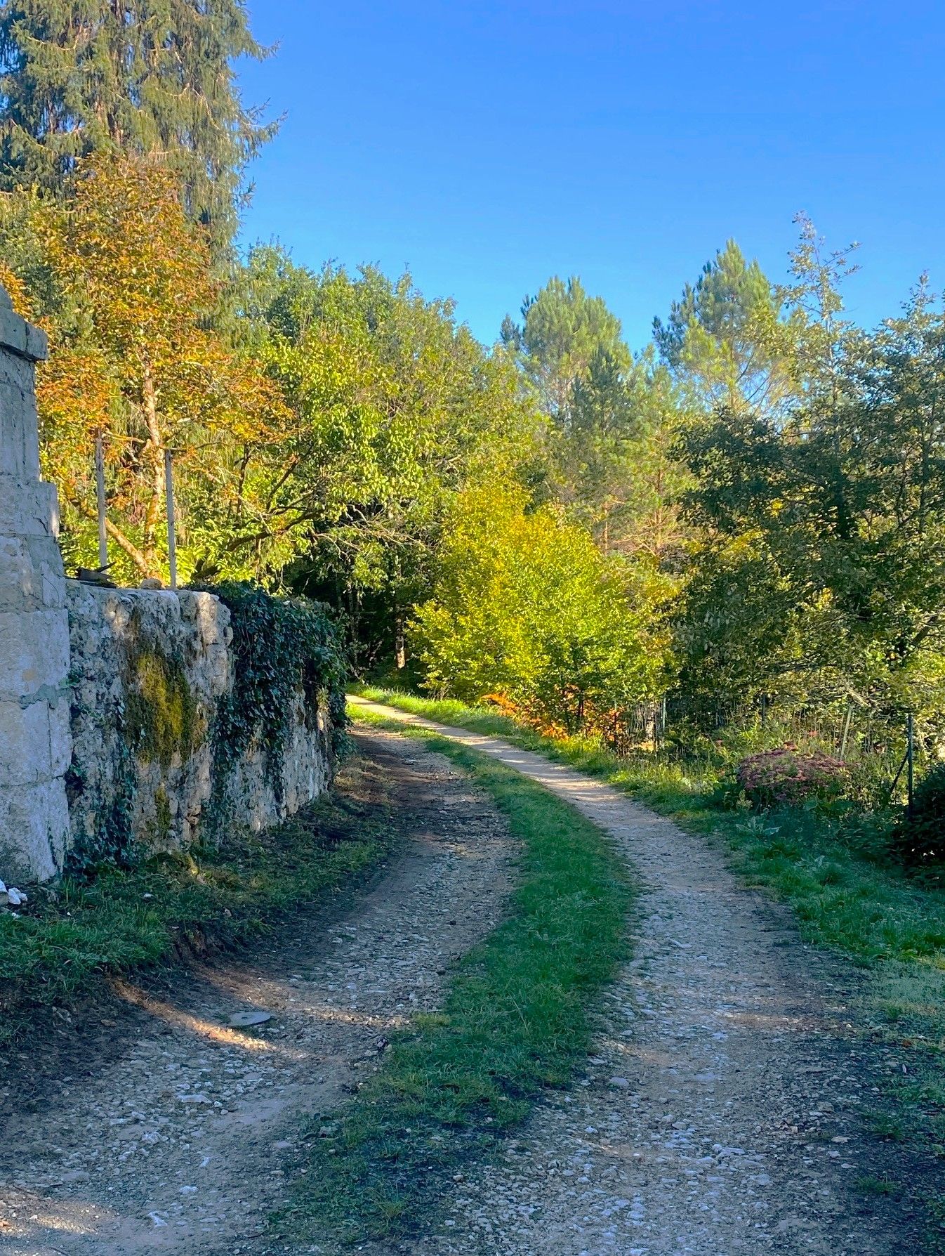 CHAMPAGNAC-DE-BELAIR-Boucle Dronne et Trincou-Chemin 2