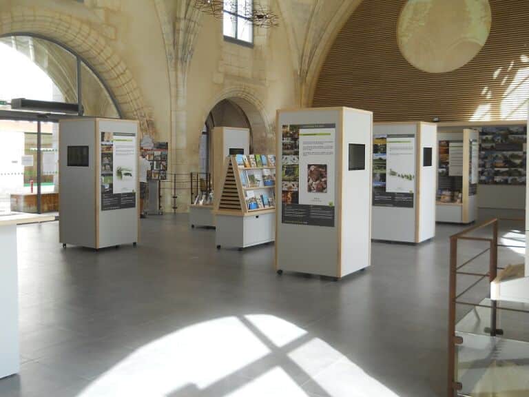 Eglise Notre-Dame intérieur