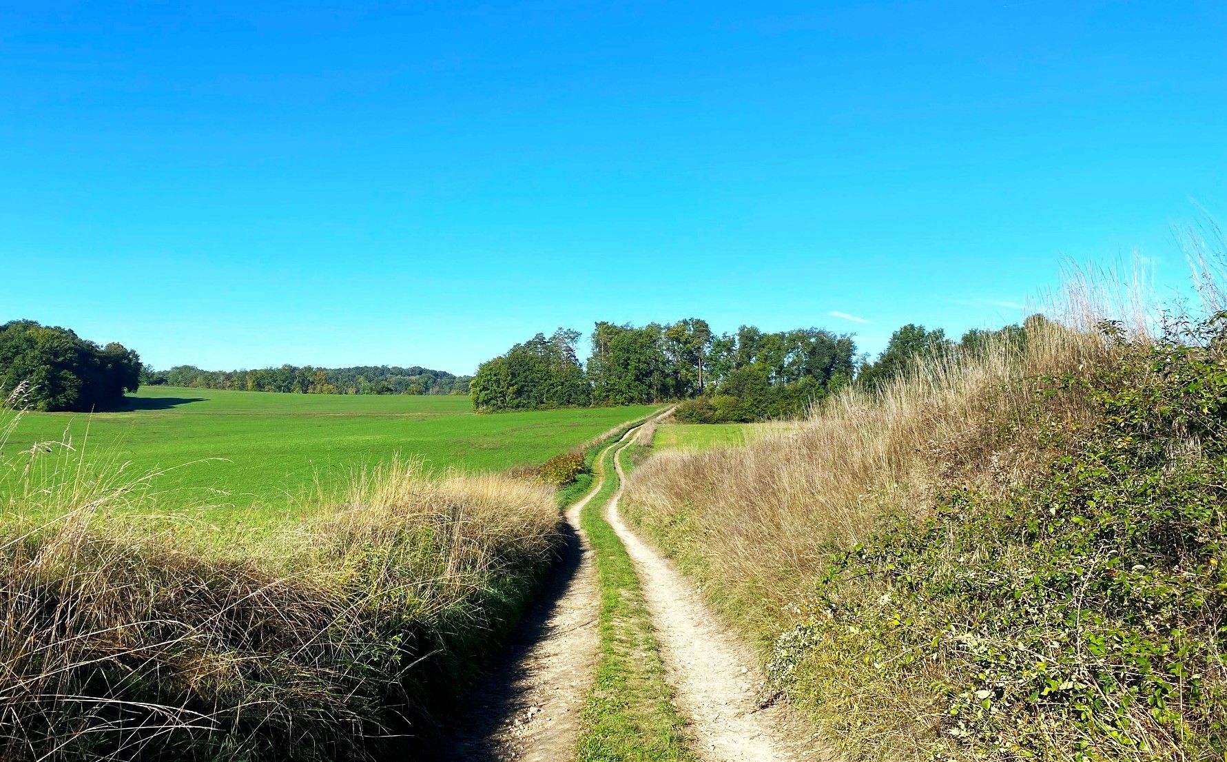 LA-CHAPELLE-FAUCHER-Boucle de La Chapelle-Chemin