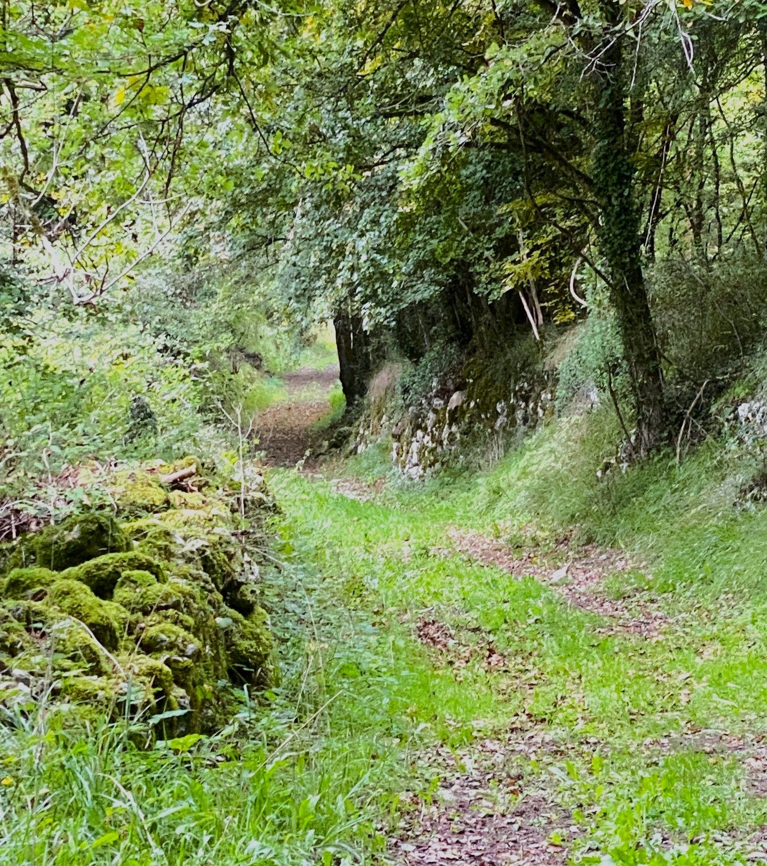 LA GONTERIE-BOULOUNEIX-Boucle de La Gonterie-Chemin