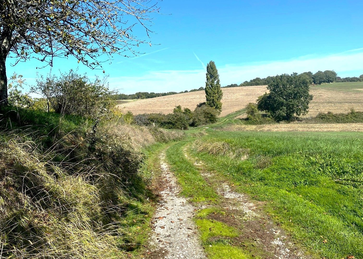 LEGUILLAC-DE-CERCLES-Boucle de Léguillac-Chemin 2