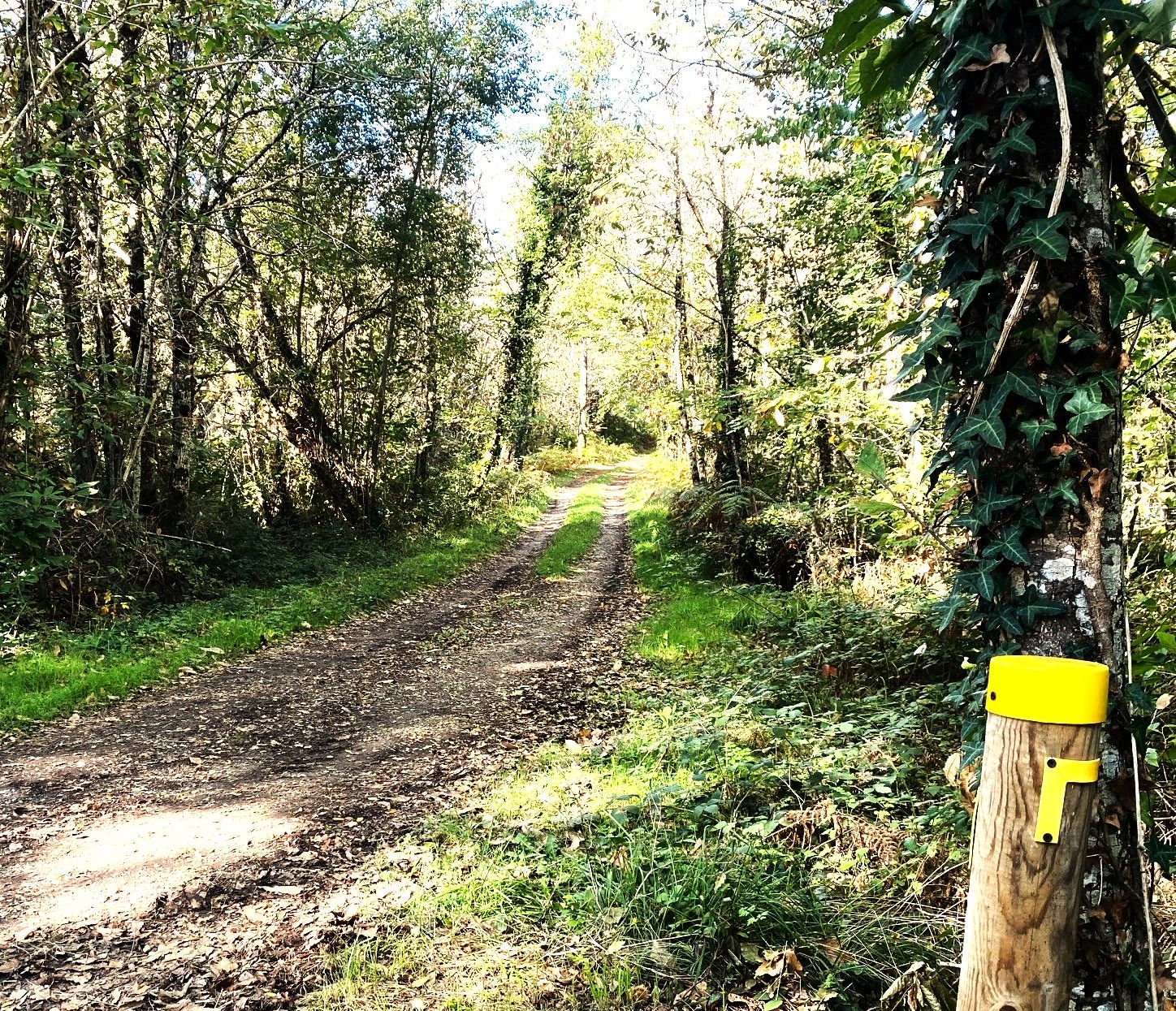 MAREUIL-Boucle de Puyrenier-Chemin-Poteau