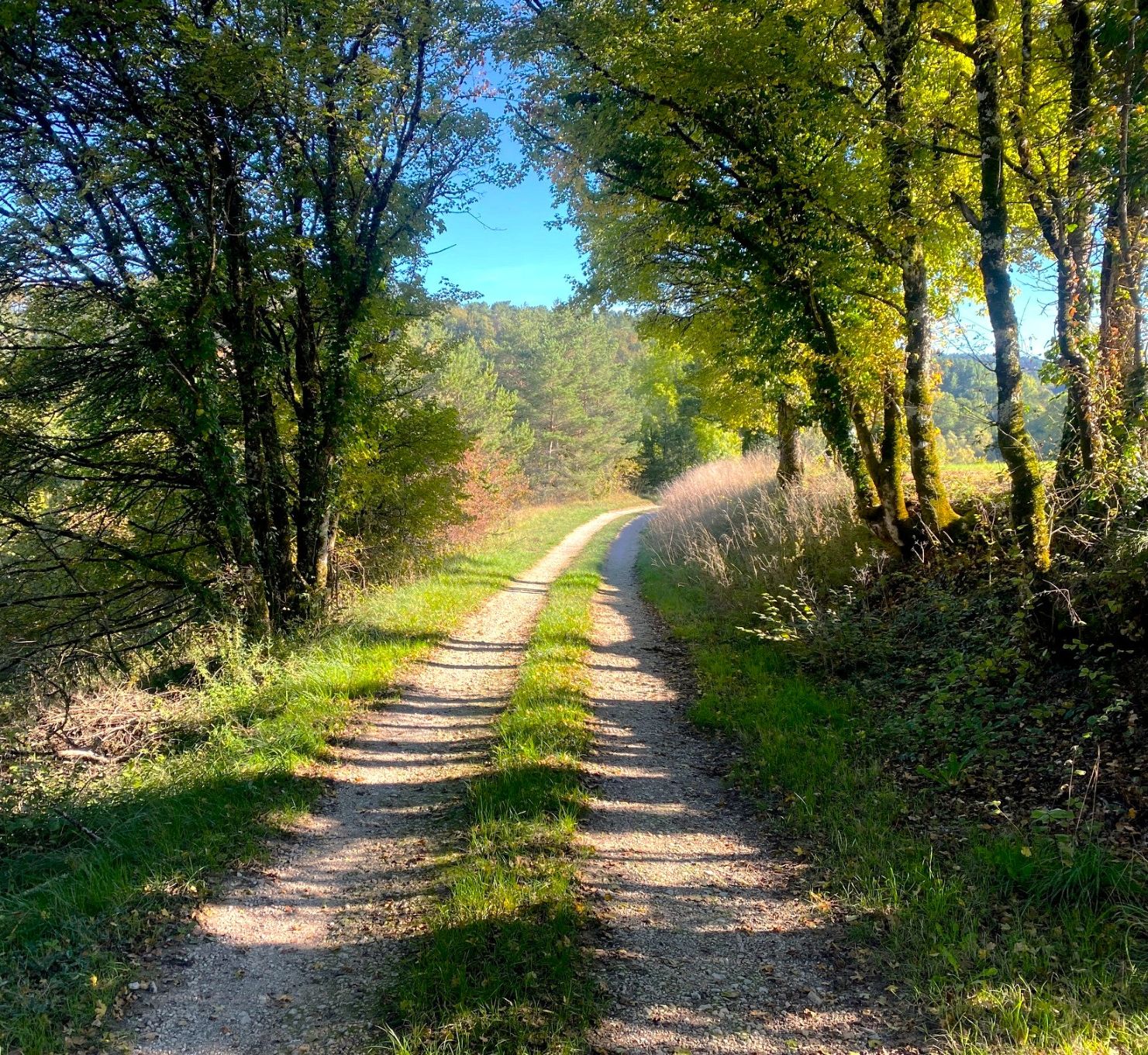 QUINSAC-Boucle de Quinsac-Chemin 2