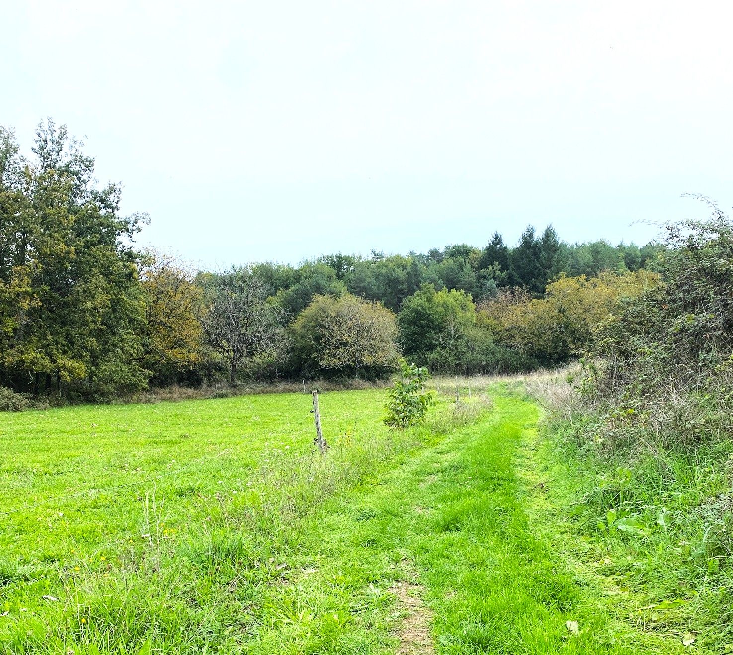 SAINT-JULIEN-DE-BOURDEILLES-Boucle de Saint Julien-Chemin