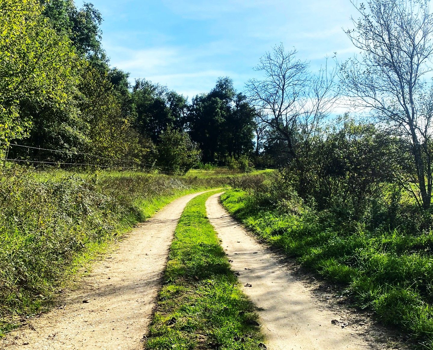 SAINT-PANCRACE-Boucle de Saint-Pancrace-Chemin 2