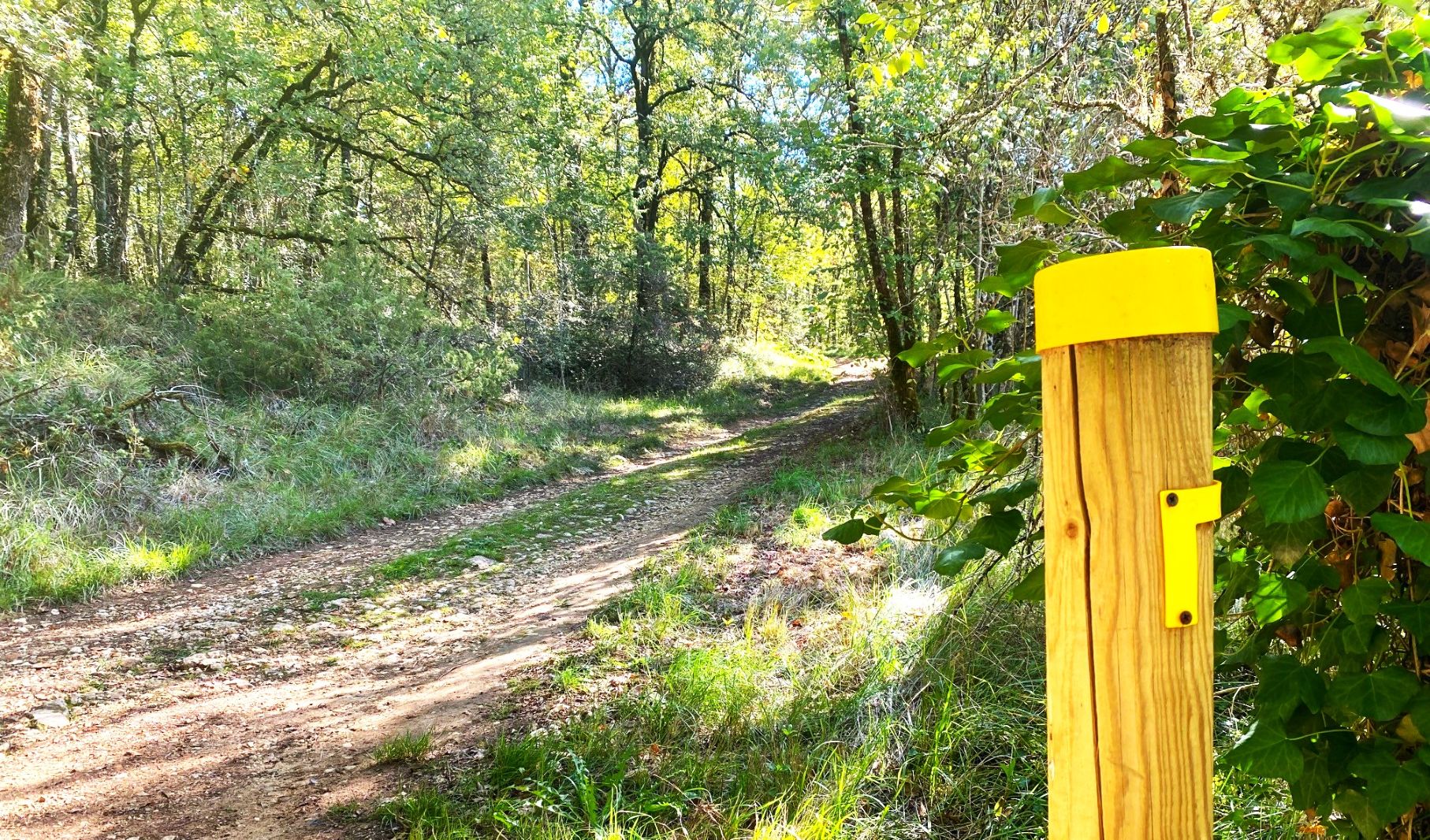 SAINTE-CROIX-DE-MAREUIL-Boucle de Sainte Croix-Chemin 2