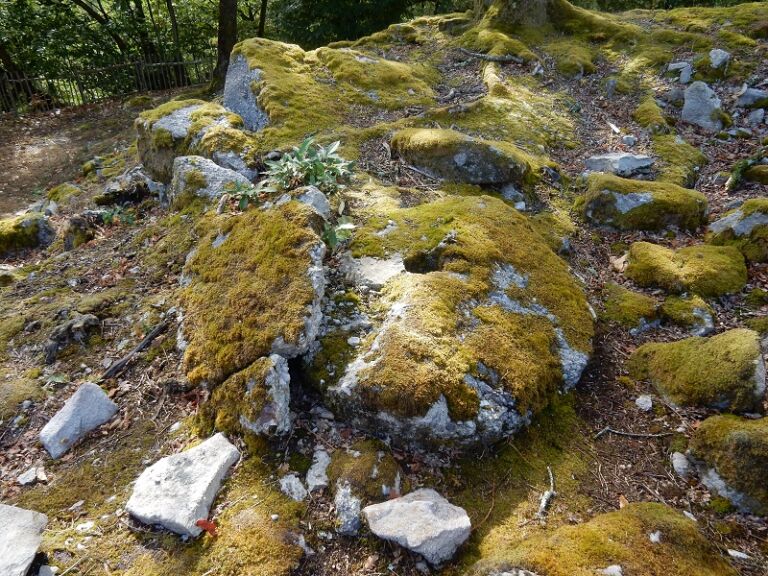 Sentier des meulières Saint-Crépin-de-Richemont_6