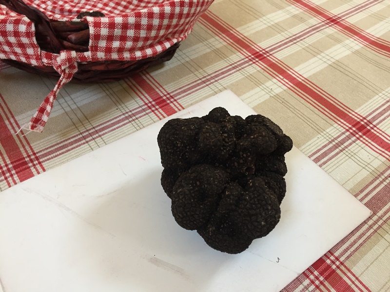 Truffes 5 OTPDB