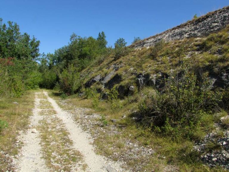 au pied du plateau, le sentier passe dans la fraicheur des arbres