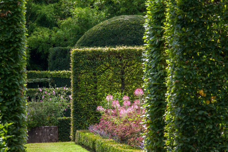 charmille jardinieres pheretaxus 7