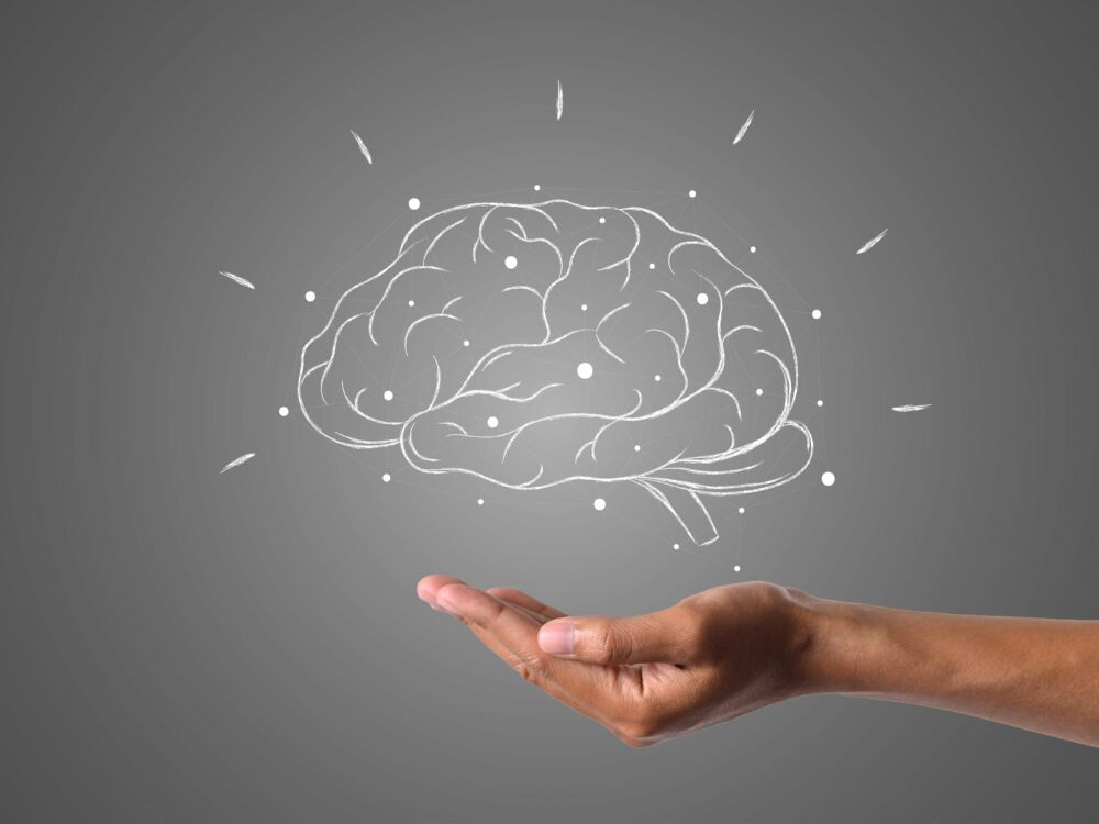 hainguyenrp-brain-4961452