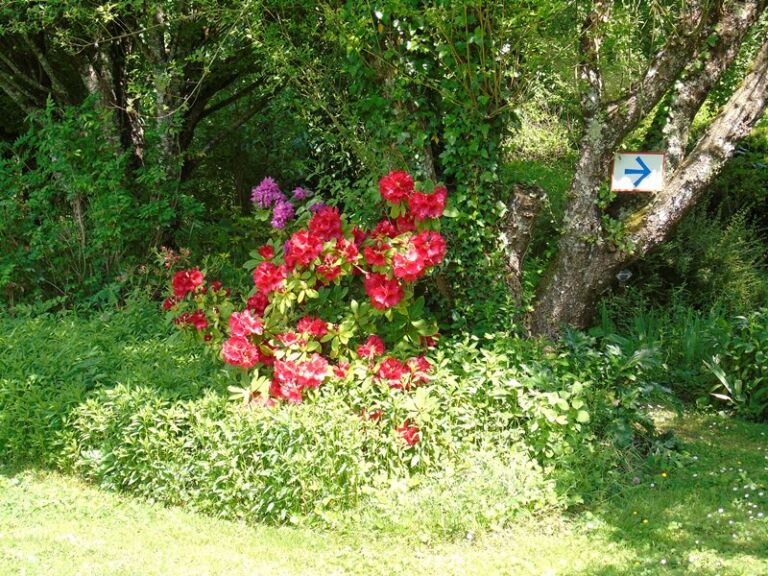 jardins tranquilles3