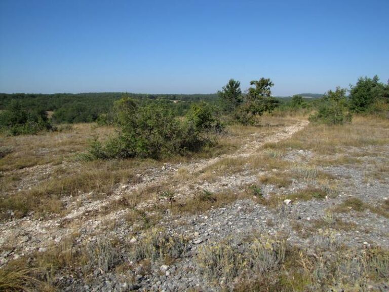 les affleurements rocheux accueillent des espèces steppiques